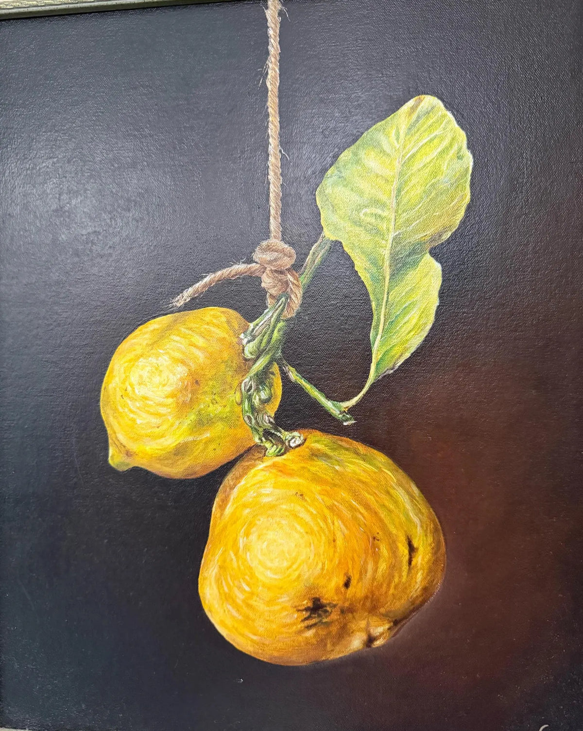 Limones dorados en suspensión: naturaleza muerta atemporal.